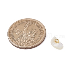 Натуральные трохус ракушки чип брелоки&nbsp;PALLOY-JF03437-01