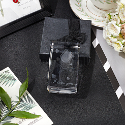 Прозрачные стеклянные украшения дисплея DJEW-WH0010-42