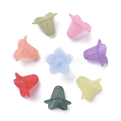 Смешанный цвет прозрачный акрил матовое цветочные бусы&nbsp;X-PLF018