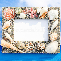 1550шт натуральные спиральные бусины-ракушки SSHEL-DC0001-04