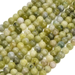 Perles de jade naturel chinois du sud en rangs&nbsp;G-Z158-A01-6mm