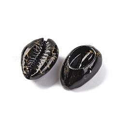 Бусины из ракушек каури SSHEL-M023-03C