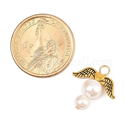 Оболочки жемчужина подвески PALLOY-JF02942