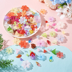 230pcs 6 Arten transparente Acrylperlen&nbsp;OACR-TA0004-39