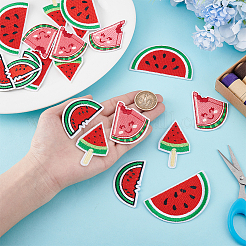 20 шт. 4 стиля арбуз нейлон компьютерная вышивка ткань термоприклеиваемые/пришивные нашивки&nbsp;DIY-HY0002-87