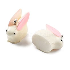 (распродажа бракованных товаров) подвески из непрозрачной смолы&nbsp;RESI-XCP0001-28