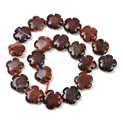 Природные брекчированных яшмы бисер нитей G-C220-E02-20mm