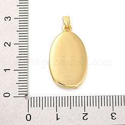 Латунь эмаль подвески&nbsp;KK-S502-02G-B