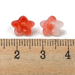 Cabochons en acrylique opaque bicolore&nbsp;OACR-G034-07E
