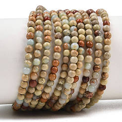 Натуральные бусины из аква терра яшмы&nbsp;G-E444-14B-3mm