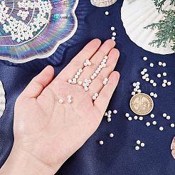 2 нити нити жемчужных бусин из ракушек BSHE-HY0001-02