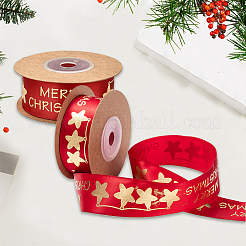 Полиэфирная лента SRIB-P018-B02