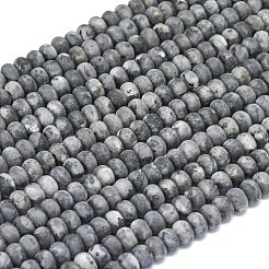 Натуральные нити бус из ларвикита G-P575-A38-6x4mm