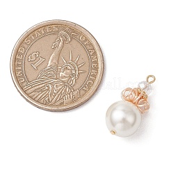 Оболочки жемчужина подвески PALLOY-TA00214