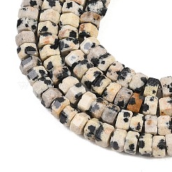 Природные яшмы далматин бисер нитей&nbsp;G-G345-C14-2x4mm