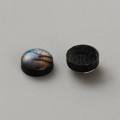 Natürliche Paua-Muschel & Acryl-Cabochons&nbsp;SHEL-WH0012-001