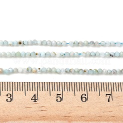 Природные ларимар бисер нитей G-L627-A01-2mm