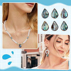 1 нить бусин из натуральной ракушки абалон/ракушки пауа SSHEL-BC0001-33