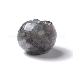 Природные моховой агат бисером G-I352-09