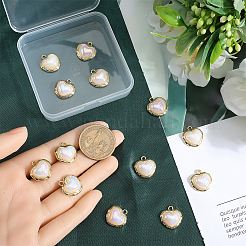 16 шт. подвески из сплава акрила FIND-SP0002-28