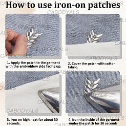 Хотфикс горный хрусталь (термоклей на спине)&nbsp;DIY-WH20055-005B