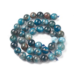 Perle di apatite naturali&nbsp;G-E481-05-10mm-01