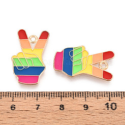 Подвески из сплава с эмалью цвета радуги&nbsp;ENAM-K067-08