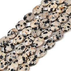 Природные яшмы далматин бисер нитей&nbsp;G-H349-A01-02