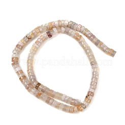 Натуральные вишневые агатовые бусины G-U029-C01