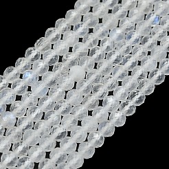 Бусины из натурального радужного лунного камня G-G106-C05-02