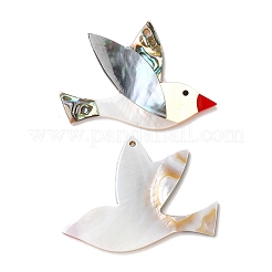 Натуральная пресноводная ракушка SHEL-F007-04