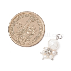 Подвески из натурального культивированного пресноводного жемчуга картофельного цвета&nbsp;PALLOY-JF04749-01