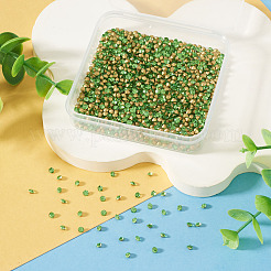 1 bolsa de cabujones de rhinestone de vidrio con parte trasera puntiaguda&nbsp;RGLA-TADJ0001-01A-08