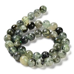 Природные пренит нитей бисера&nbsp;G-P322-48-10mm-01