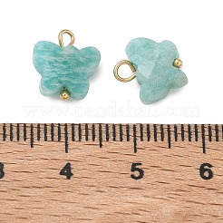 Natur Amazonit Anhänger&nbsp;KK-D289-61G-04