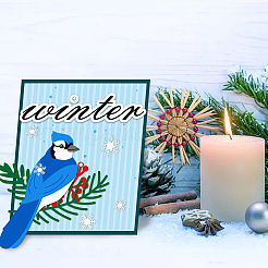 Pochoirs de Matrice de découpe de découpe en acier au carbone thème noël&nbsp;DIY-WH0309-475