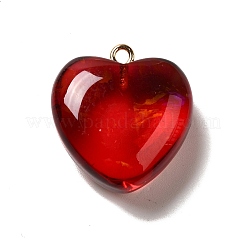 Прозрачные смоляные подвески RESI-F035-02D