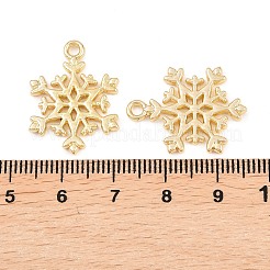 Подвески из сплава &nbsp;FIND-B059-05G-01