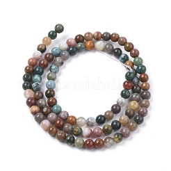 Океан Природный яшмы бисер нитей&nbsp;G-F668-26-4mm