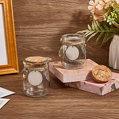 2 шт. 2 стиля прозрачных стеклянных пустых бутылок с подвесками из сплава в виде перьев AJEW-DR00028