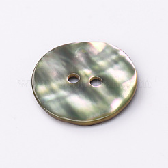 Abalone-Muschel / Paua-Muschel&nbsp;X-BSHE-I011-04A