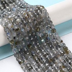 Perline labradorite naturale fili&nbsp;G-M421-B02-01