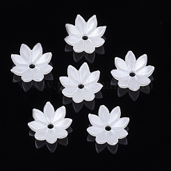 8花弁ABSプラスチックパール調ビーズキャップ  花  乳白色  10.5x10.5x3.5mm  穴：1.5mm&nbsp;OACR-S020-30