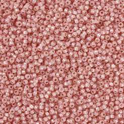 Perles rocailles miyuki rondes&nbsp;X-SEED-G008-RR0642