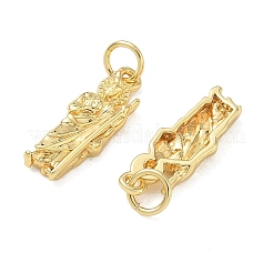 Messing Anhänger & Charms&nbsp;CU-CBAD360-06G-02