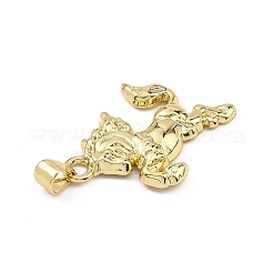 Messing Anhänger & Charms&nbsp;KK-B177-10A-G