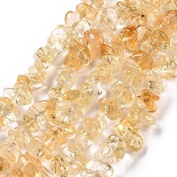 Natürliche Citrin Chip-Perlen-Stränge, gefärbt und erhitzt, 5~14x4~10 mm, Bohrung: 1 mm, ungefähr 15.5 Zoll ~ 16.1 Zoll