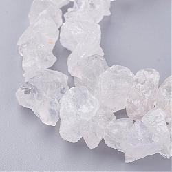 Chapelets de perles en cristal de quartz naturel, perles de cristal de roche, pépites, 12~22x7~13.5x10~22mm, Trou: 1mm, Environ 50 pcs/chapelet, 15.3 pouce