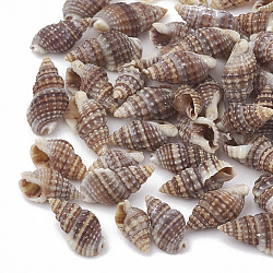 Perles en coquille de mer, perles non percées / sans trou, brun rosé, 9~14x6~8x4~6mm, environ 2270 pcs/500 g