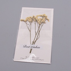 Paper Cards, with Dried Flower, for Bridal Shower, Wedding, Parties & More, Light Yellow, 160x90x4mm